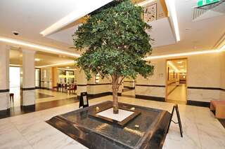 Апартаменты Home Apartments in Regent, Tivat Тиват Улучшенные апартаменты-75